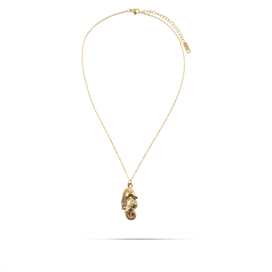 Κολιέ με κρεμαστό ιππόκαμπο με πέτρες ζιργκόν Mar and Mar Seahorse Sparkle από ανοξείδωτο ατσάλι