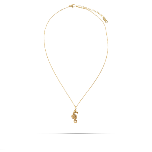 Κολιέ με μενταγιόν ιππόκαμπο Mar and Mar Seahorse από ανοξείδωτο ατσάλι