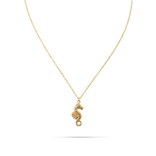 Κολιέ με μενταγιόν ιππόκαμπο Mar and Mar Seahorse από ανοξείδωτο ατσάλι