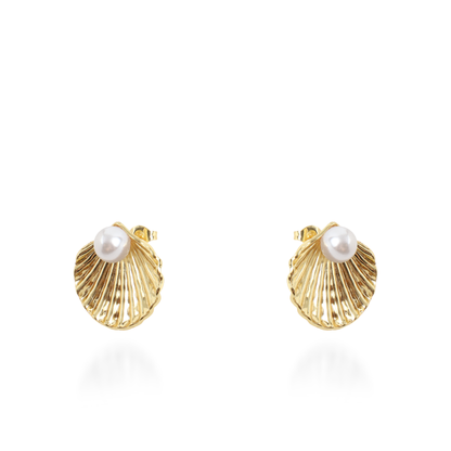 Σκουλαρίκια καρφωτά με πέρλες Mar and Mar Seashell Pearl από ανοξείδωτο ατσάλι