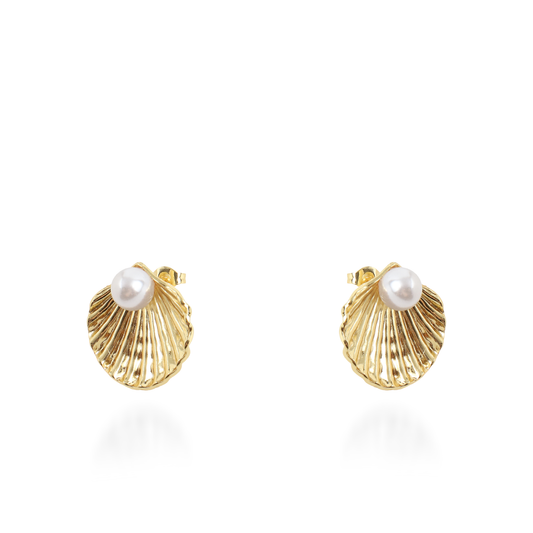 Σκουλαρίκια καρφωτά με πέρλες Mar and Mar Seashell Pearl από ανοξείδωτο ατσάλι