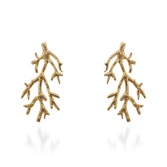 Σκουλαρίκια κρεμαστά Mar and Mar Tree Branches από ανοξείδωτο ατσάλι